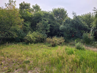 Działka inna Siesławice