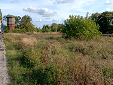 Działka inna Trawniki