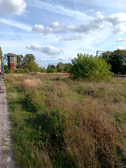 Działka inna Trawniki