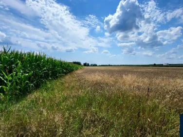 Działka budowlana Bojszowy