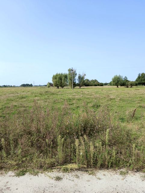 Działka budowlana Bogdaniec sprzedam