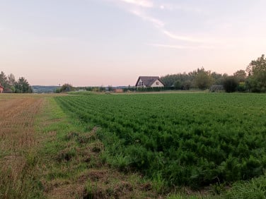 Działka budowlano-rolna Będziemyśl sprzedam