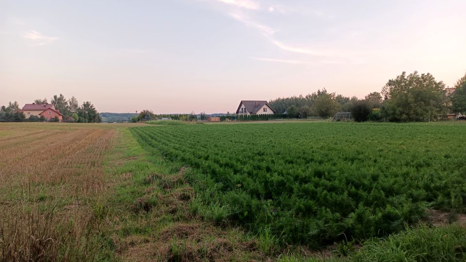 Działka budowlano-rolna Będziemyśl sprzedam