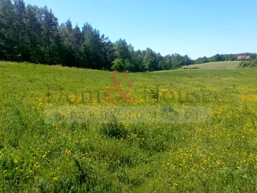 Działka siedliskowa Nowa Wieś Przywidzka