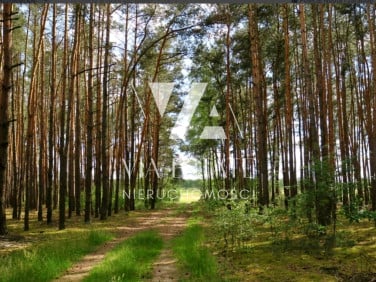 Działka rolna Glinianka