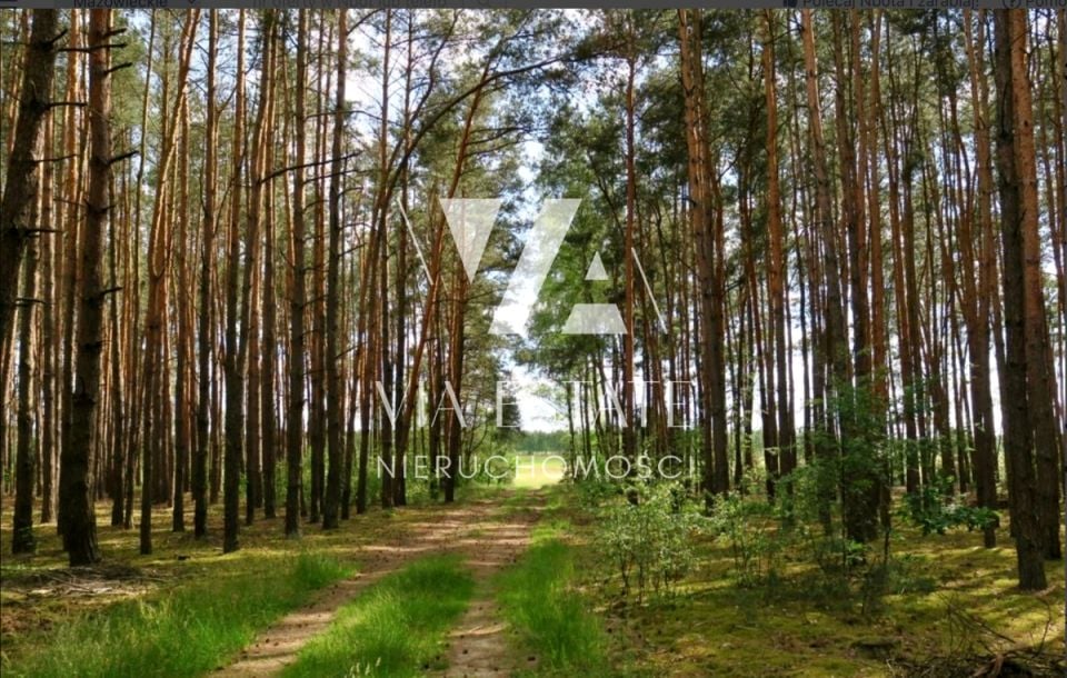 Działka rolna Glinianka