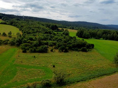 Działka inna Długopole Dolne