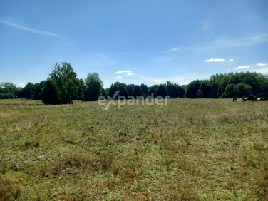 Działka rolna Józefowo sprzedam