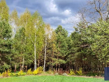 Działka budowlana Włocławek