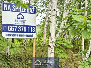 Działka Radziejewo