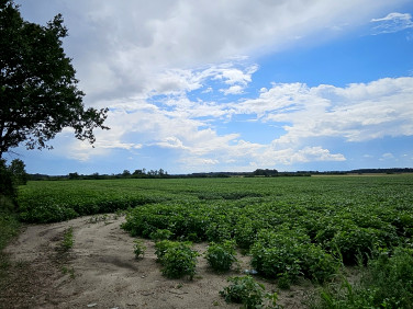 Działka Środa Śląska