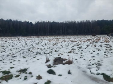 Działka budowlana Jaworzno sprzedam