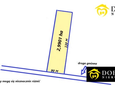 Działka leśna Lewickie-Kolonia