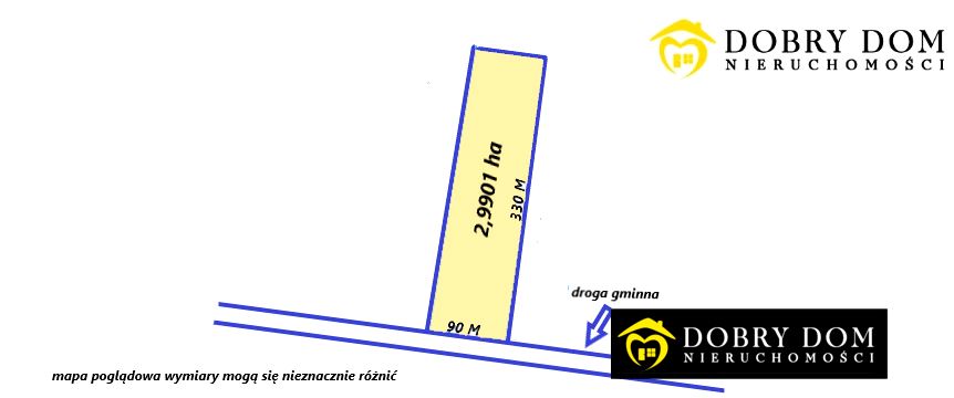 Działka leśna Lewickie-Kolonia