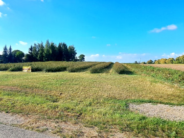 Działka budowlana Tarło-Kolonia