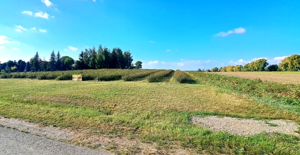 Działka budowlana Tarło-Kolonia