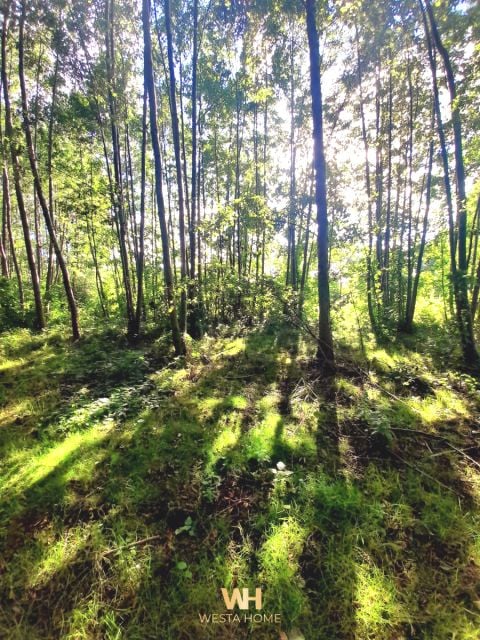 Działka Kania Nowa
