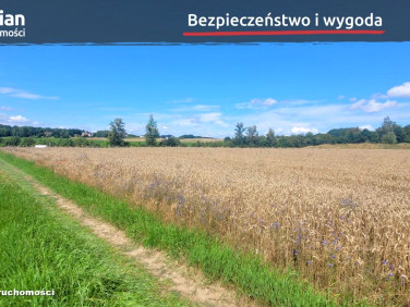 Działka Kczewo