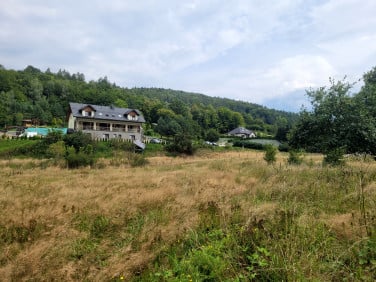 Działka nad jeziorem
