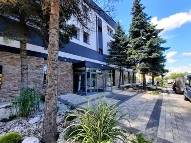 Lokal Katowice wynajem