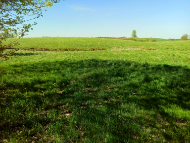 Działka budowlano-rolna Liwa