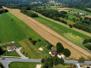 Działka rolna Nowy Borek