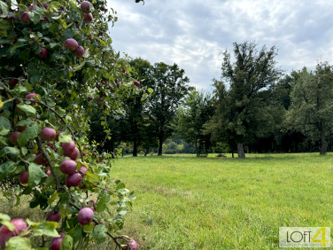 Działka budowlana Buchcice