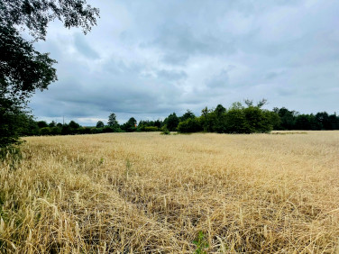 Działka budowlano-rolna Miłkowiec