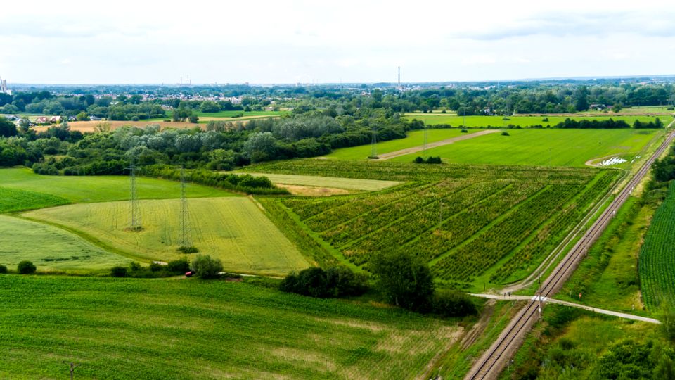 Działka inwestycyjna Tarnowiec