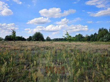 Działka budowlana Sierzchów