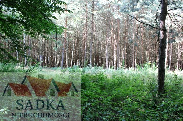 Działka budowlana Adamów-Parcel