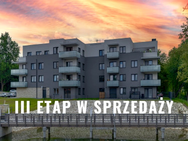 Mieszkanie Sosnowiec sprzedaż