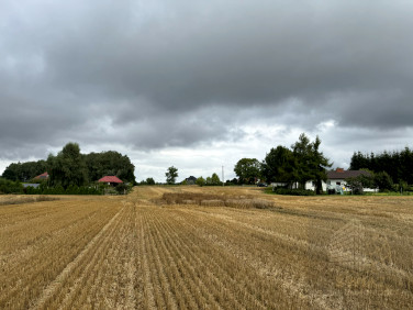 Działka siedliskowa Kolonia Maszewo