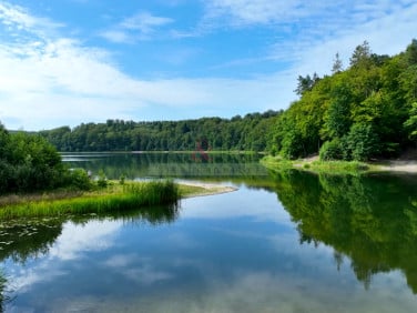 Lokal Otomin sprzedaż