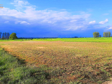 Działka Kamień Pomorski