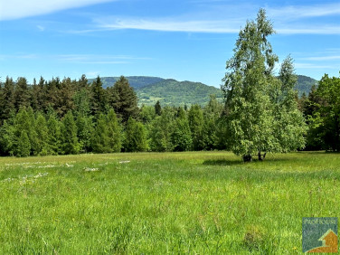 Działka leśna Podłopień