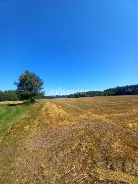 Działka rolna Blinno