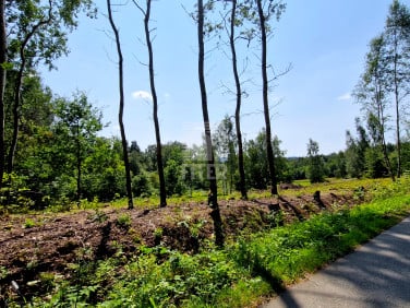 Działka budowlana Lipnica Dolna