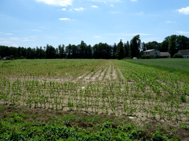 Działka budowlana Skoczów