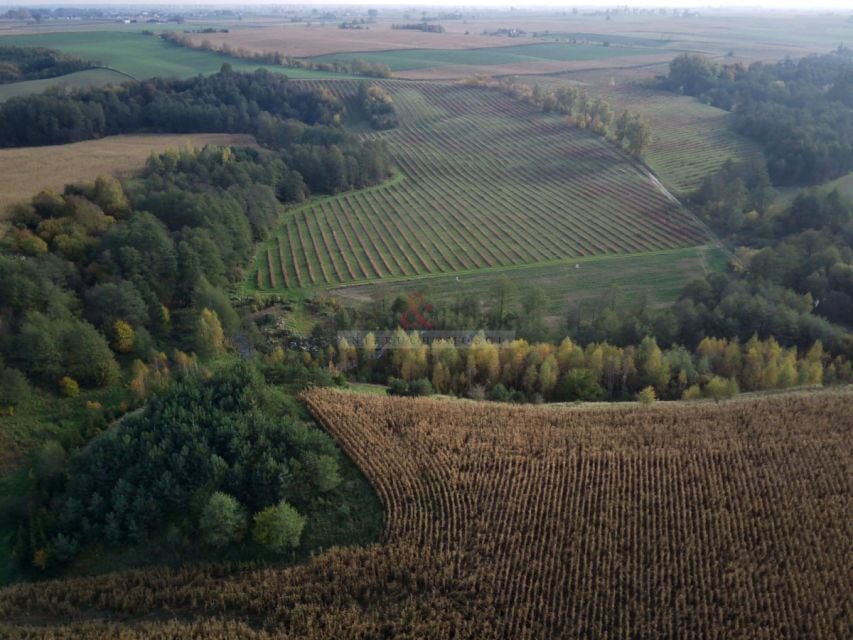 Działka budowlana Bartniczka