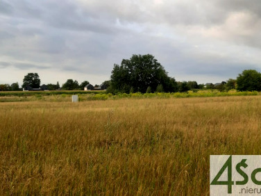 Działka budowlana Chrzanów Mały sprzedam