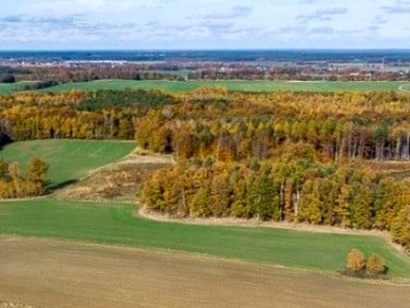 Działka budowlano-rolna Kruszyn