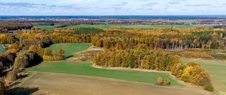 Działka budowlano-rolna Kruszyn