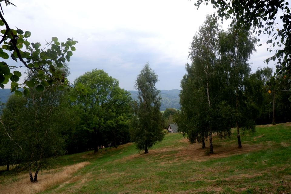 Zdjęcie 3