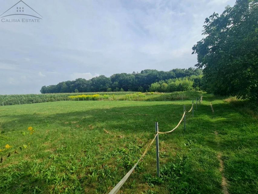 Działka budowlana Marchwacz-Kolonia