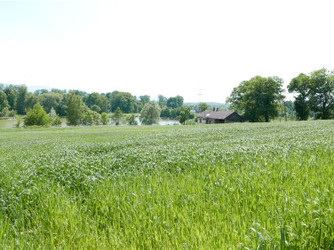 Działka usługowa Bielsko-Biała