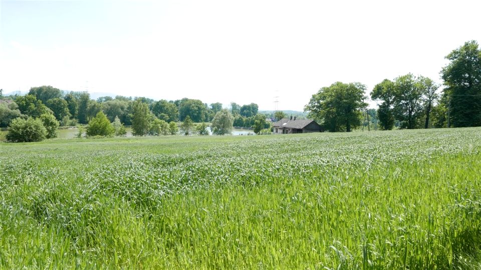 Działka usługowa Bielsko-Biała