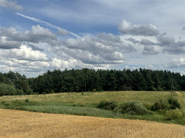 Działka rolna Wielbrandowo