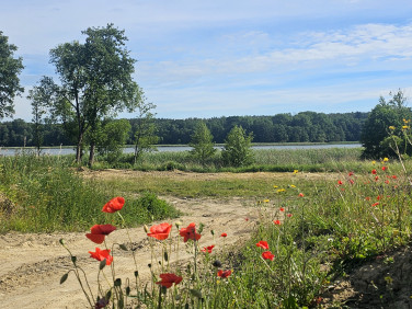 Działka Wierzchowo