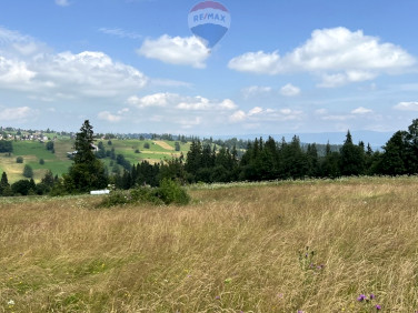 Działka BIAŁY DUNAJEC